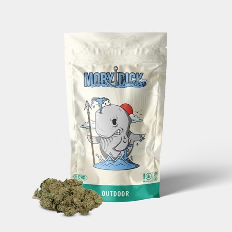 Fleurs CBD GB Outdoor 'Moby Dick'