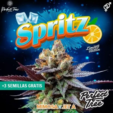 Spritz