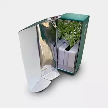 Caja de Transporte para Esquejes