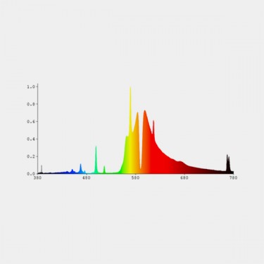 Bombilla HPS 1000W DE