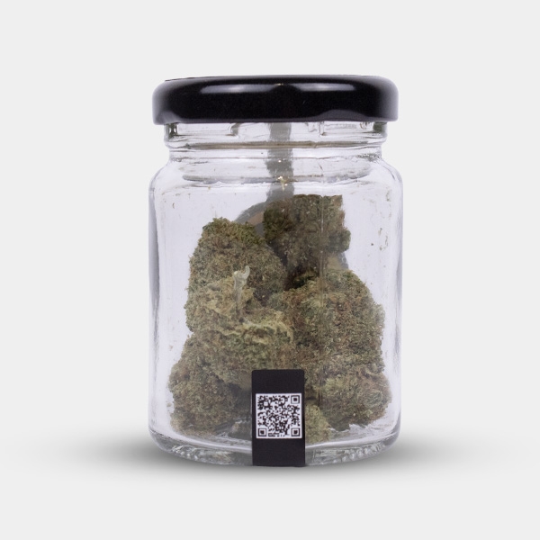 Cocori Kush North Thunderfuck CBD flowers ⚡