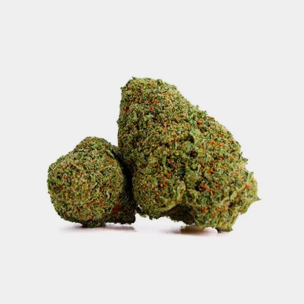 Flores CBD X Haze Cocori Kush