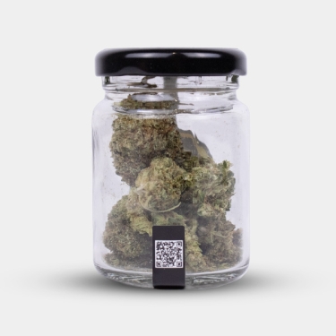 Flores CBD X Haze Cocori Kush