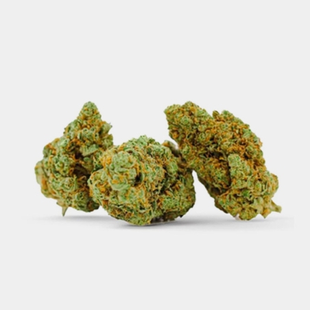 Flores CBD Marley Kush Cocori Kush