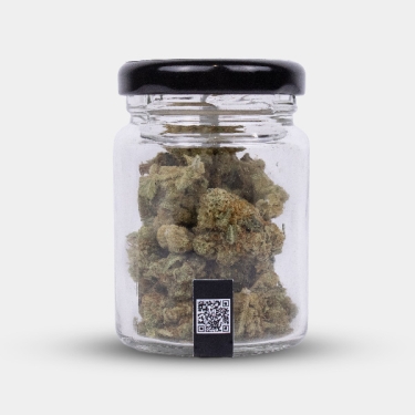 Manley Kush: Californian CBD flowers with an oriental character