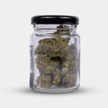 Flores CBD Royal Gorilla Cocori Kush