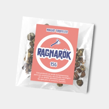 Trufas mágicas Ragnarok