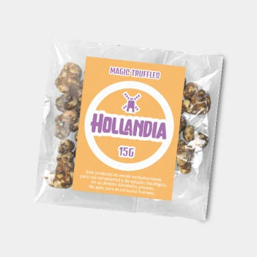 Trufas Hollandia