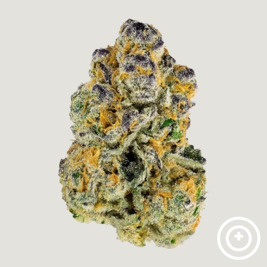 Sour Peaches Purple City Genetics