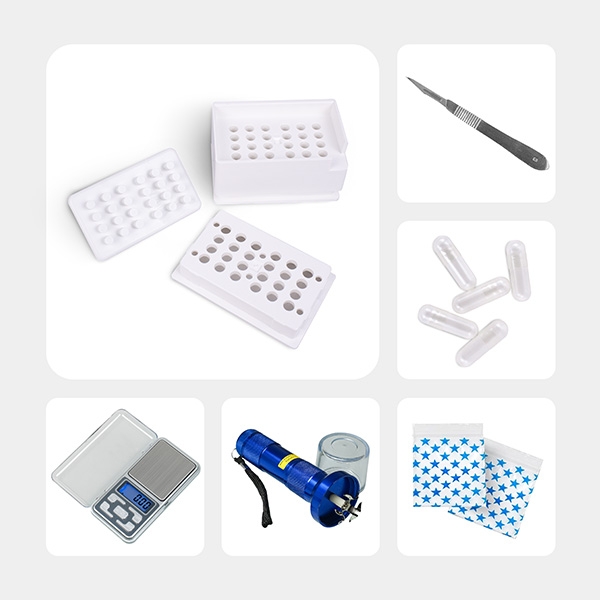 Kit de microdosis de psilocibina Pro