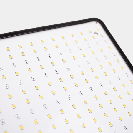 Panel LED 50W Full Spectrum SG-Q50W para cultivo indoor