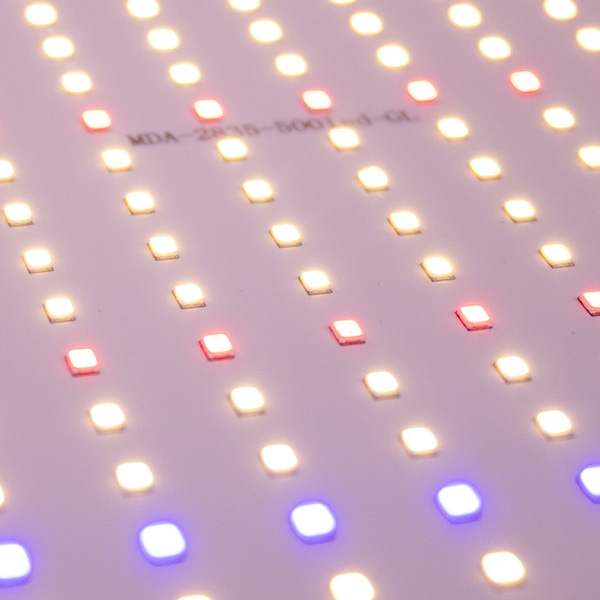 Panel LED 50W Full Spectrum SG-Q50W para cultivo indoor