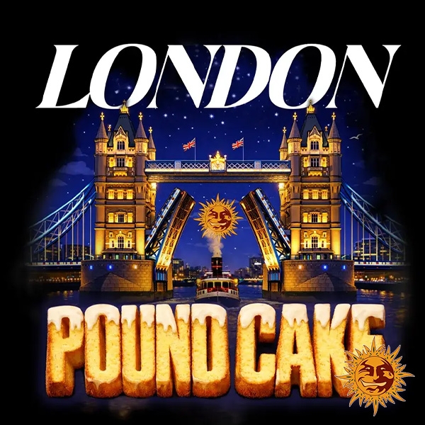 London Pound Cake F1 Hybrid diseño