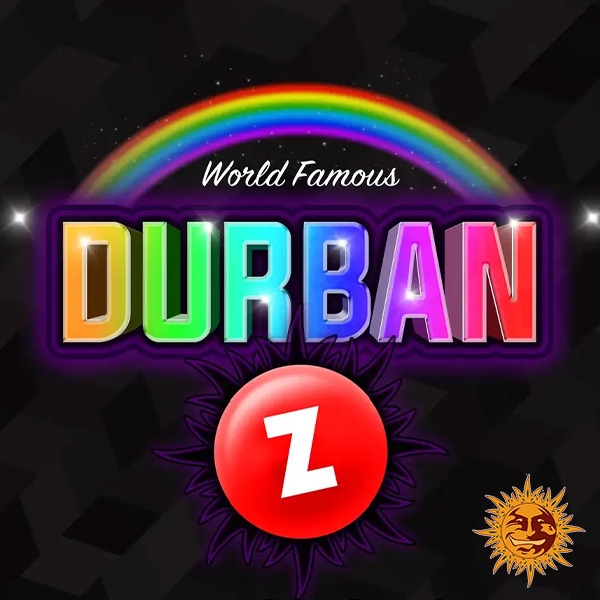 Durban Z F1 Hybrid diseño