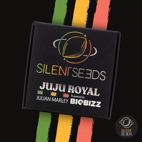 Jamaican Sunset by Julian Marley envase