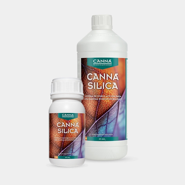 Canna Silica todos los formatos