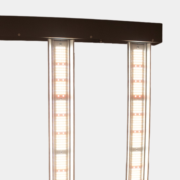 LED June DC Corelux 720 W 2.9 barras