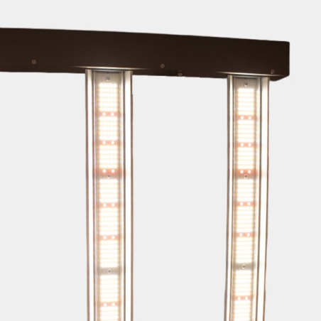 LED June DC Corelux 720 W 2.9 barras