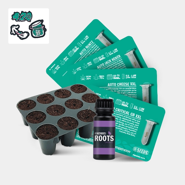 View GB Seeds Box