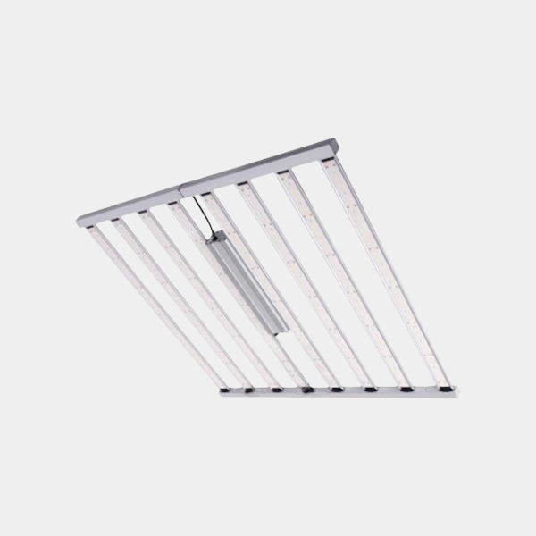 LED Spider King 1000 W Vanguard Hydroponics | GB