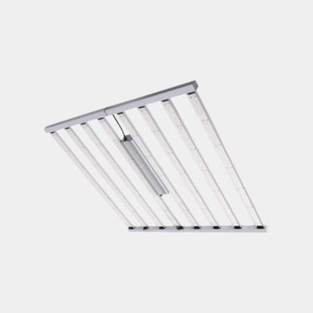 LED Spider King 1000 W Vanguard Hydroponics | GB