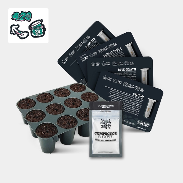 View GB Seeds Box Auto