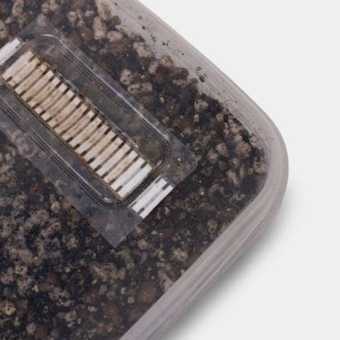 Sustrato de Cultivo para Setas vista inocular