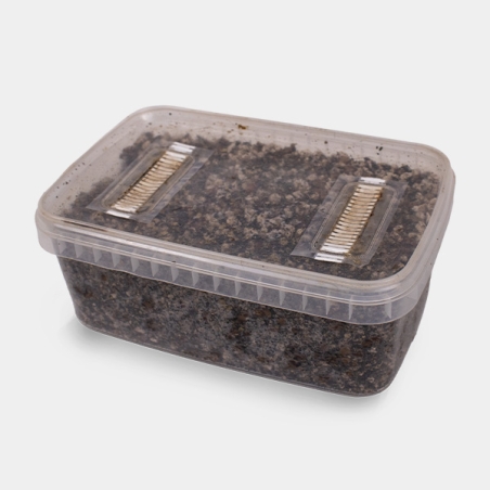 Substrat pour Champignons magiques