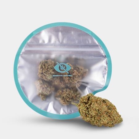 Amnesia CBD KEMA