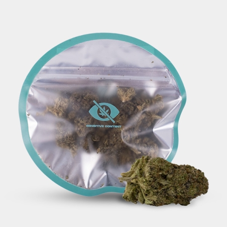 Plutonium CBD KEMA