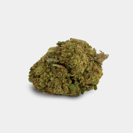 Flor CBD GB Outdoor 'Moby Dick'