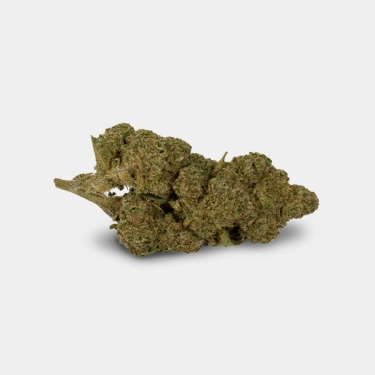 Flor CBD GB Outdoor 'Amnesia'