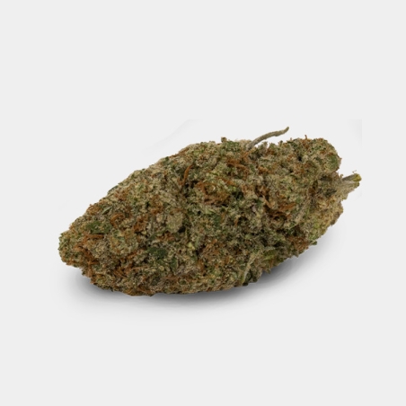 Flores Apple Bananas Cali CBD KEMA