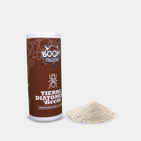 Tierra diatomeas boom