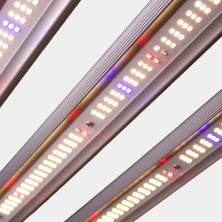 Sistema Led Regulable 730w Black Ultra GB Lighting barra encendida