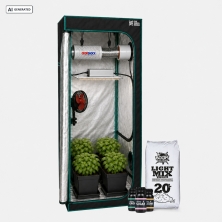 Kit Completo Básico 60x60 montaje cultivo