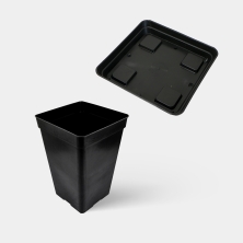 maceta de cultivo Kit Completo 300w Black Ultra