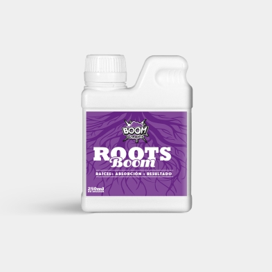 Roots Boom