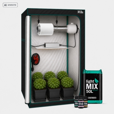 Kit Completo Principiante 80x80 montaje cultivo