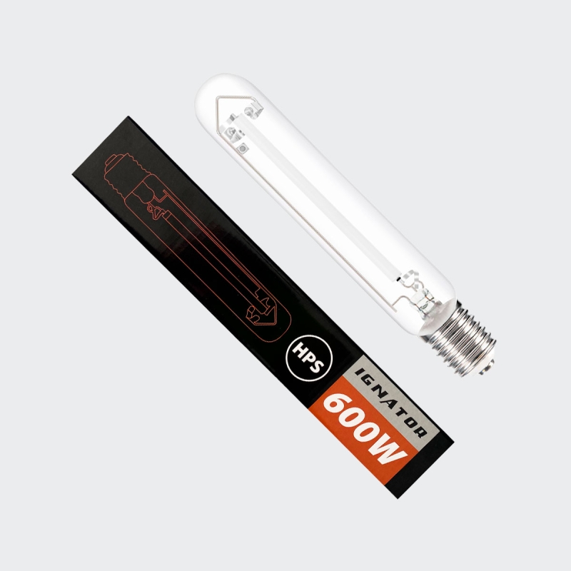 BOMBILLA 600w Ignator + caja