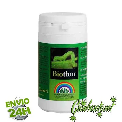 La chenille sur les plantes de cannabis photo Bacillus Thuringiensis pour chenilles de Trabe la chenille sur les plantes de cannabis