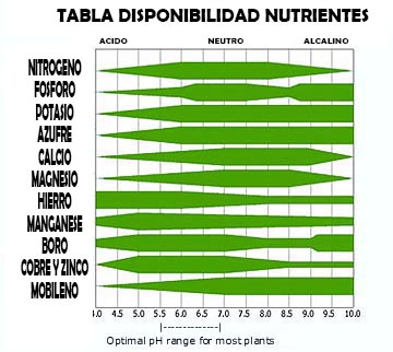 Trucos para tener más producción de marihuana