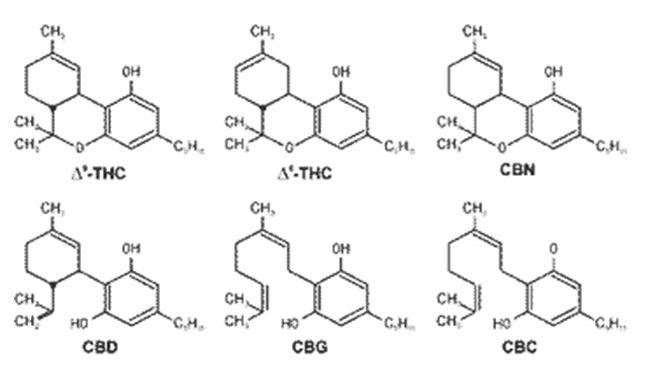 El cannabis y la diabetes