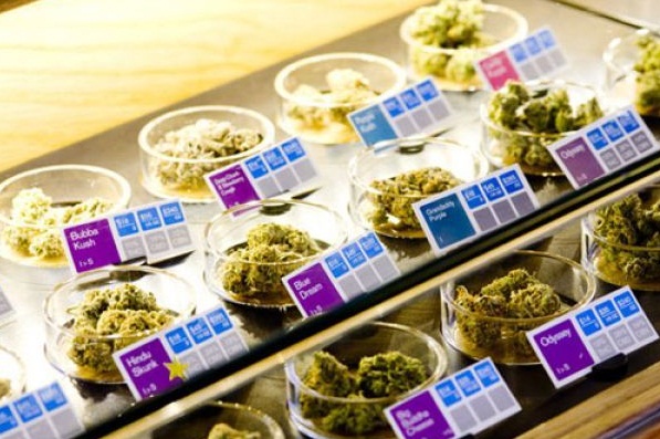 Noticias Cannábicas