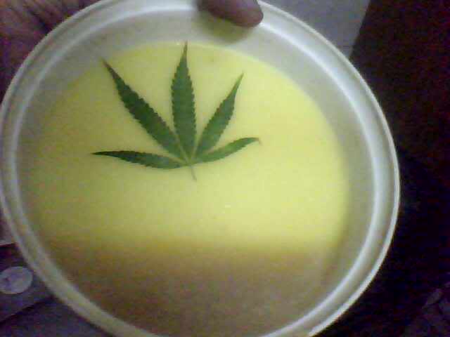 суп из марихуаны