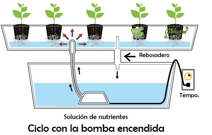 5 formas de cultivar marihuana en Hydro foto de Ebb & Flow 5 formas de cultivar marihuana en Hydro