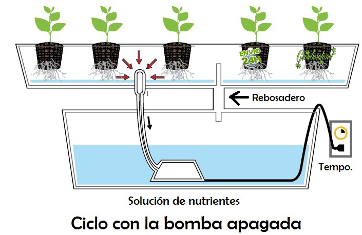 5 formas de cultivar marihuana en Hydro foto de flujo y reflujo 5 formas de cultivar marihuana en Hydro