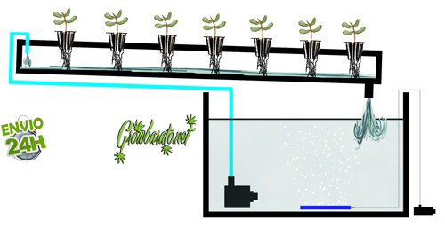 5 Ways to Grow Cannabis in Hydroponics