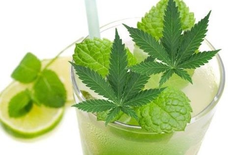 Las diversas formas de consumir Cannabis licor de cannabis Las diversas formas de consumir Cannabis