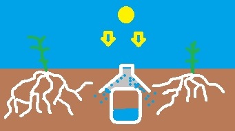 Astuce pour maintenir vos plantes hydratées illustration technique des bouteilles astuce pour maintenir vos plantes hydratees